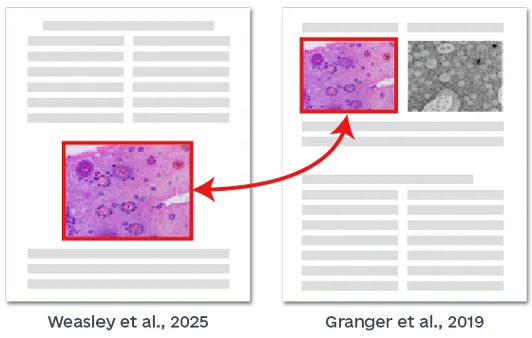 投稿前检查场景